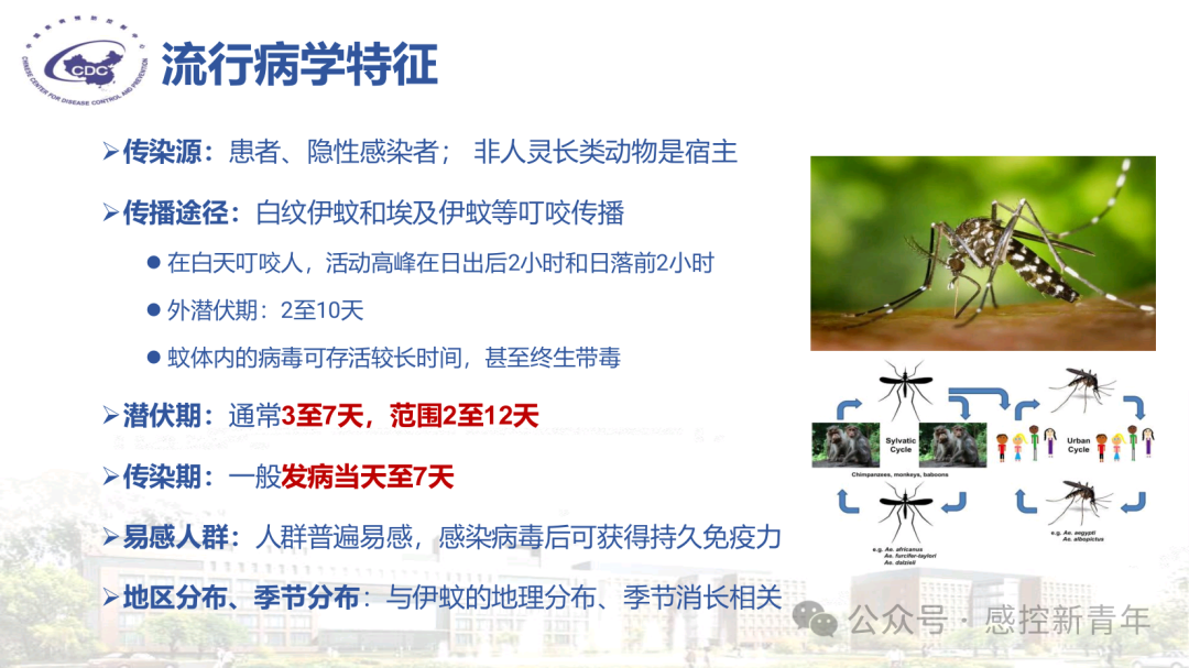 fef37255b772404a2ce7fc5a66fc22f4.png